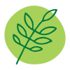 Pure & Natural Ingredients