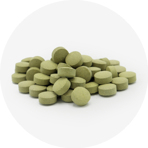 Moringa tablets