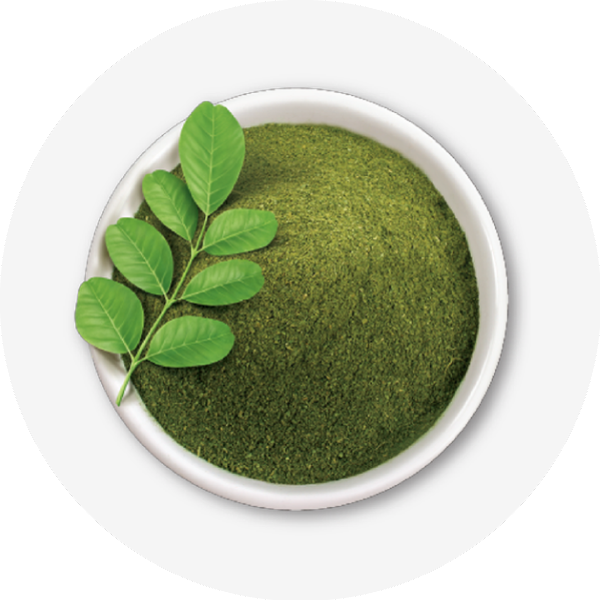 Moringa powder